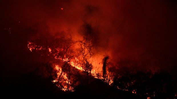 Do poloviny března bylo v Mexiku zaznamenáno zhruba 400 lesních požárů