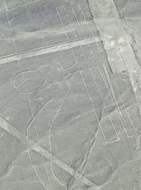Na planině Nazca se nachází přes tři sta obrazců, takzvaných geoglyfů či jejich pozůstatků