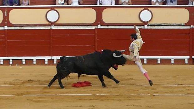 Španělské ministerstvo kultury se rozhodlo letos neudělit národní cenu býčích zápasů (ilustrační foto)
