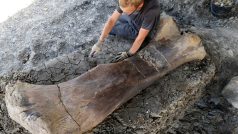 Gigantická dinosauří kost měří dva metry a váží půl tuny
