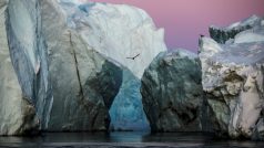 Arktické ledovce vlivem oteplujícího se Severního ledového oceánu tají