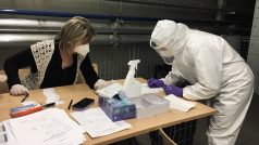 Testování na koronavirus ve firmách