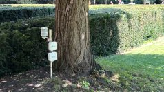 Senzor na měření mikroklimatu v pražské Františkánské zahradě