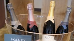 Přehlídka šumivých vín v Bolney Wine Estate