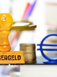 Bürgergeld, podpora nezaměstnaným v Německu