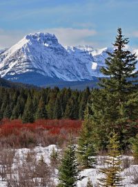 Skalisté hory v kanadské provincii Alberta