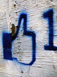 Vědci zjistili, že údaj o tom, co se uživatelům „líbí” na stránkách Facebooku prozrazuje jejich charakterové vlastnosti. Firmám tedy stačí jediný lajk k tomu, aby na uživatele mohly zacílit reklamu