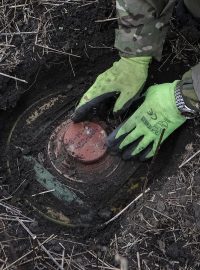 Příslušník speciální odminovací jednotky Národní policie pracuje s protitankovou minou