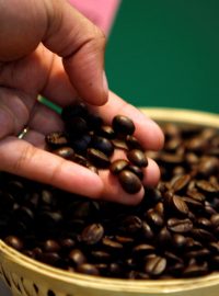 Kávová zrna (ilustrační foto)