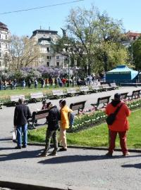Lidé ve frontě na náměstí Míru v Praze, kde začalo testování vzorku populace na protilátky proti koronaviru. Čekající by měli dodržovat dvoumetrové rozestupy