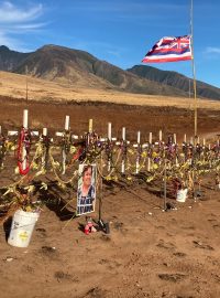 Při požáru na Maui zemřelo 115 lidí. Za každého z nich je na improvizovaném památníku kolem obchvatu Lahainy jeden křížek. Jsou tu i žluté stužky za pohřešované, kterých jsou stovky