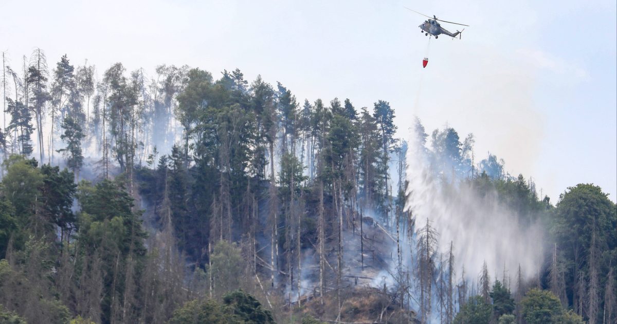 Deutsche Feuerwehrleute in der Sächsischen Schweiz sorgen sich um die Hitze, sie haben das Feuer immer noch nicht unter Kontrolle |  iRADIO