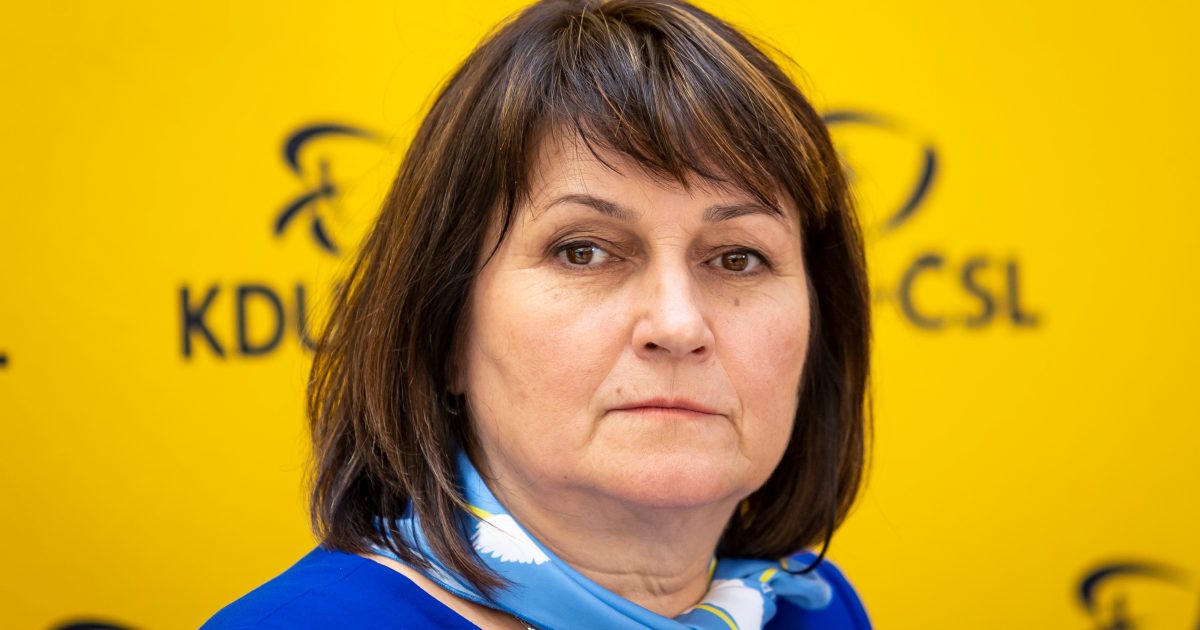 Errors within the counting of the Euro elections: Šojdrová obtained 100 ‘circles’ |  iRADIO