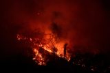 Do poloviny března bylo v Mexiku zaznamenáno zhruba 400 lesních požárů