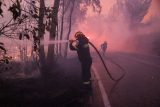 Hasiči u rozsáhlého požáru u města Dionysos nedaleko Atén