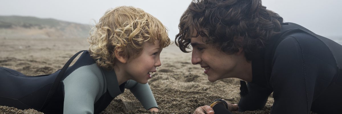 Timothée Chalamet (vpravo) ve filmu Beautiful Boy