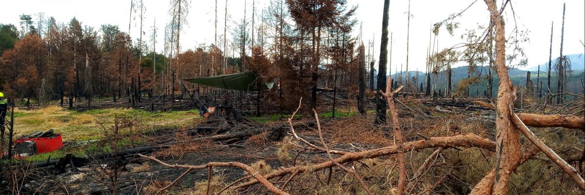 Požár likvidovalo v jednu chvíli i 1000 hasičů, České Švýcarsko už záchranáři postupně opouští