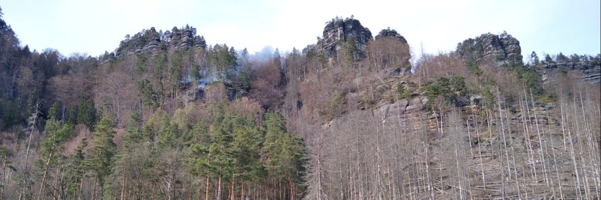 V Národním parku České Švýcarsko hoří les pod Gabrielinou stezkou