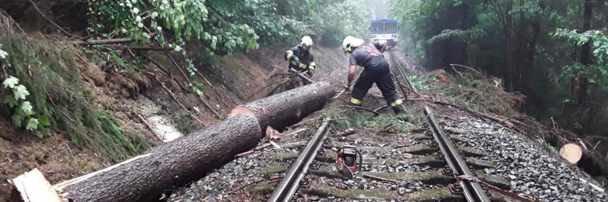 Zřejmě kvůli silnému větru spadl u Bohdíkova strom do kolejiště, narazil do něj osobní vlak