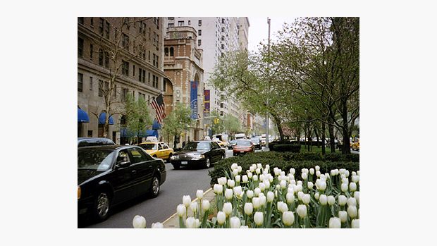 Newyorská Park Avenue poskytuje prostor i zeleni