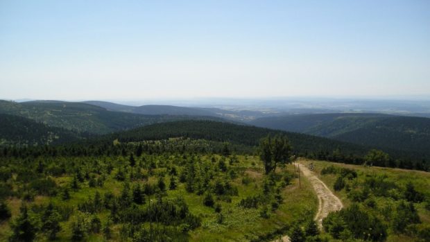 Orlické hory - Pohled z Deštné