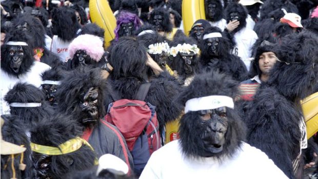 Běh na záchranu goril - Great Gorilla Run