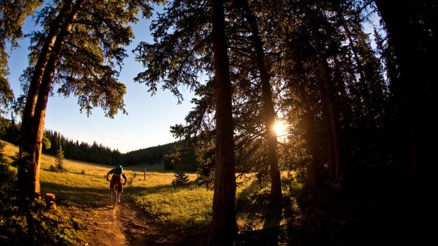 Biker projíždí po singletracku při západu slunce