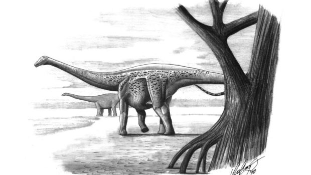 Magyarosaurus dacus