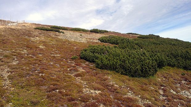 Krkonoše jsou oblíbenou destinací v zimě i v létě