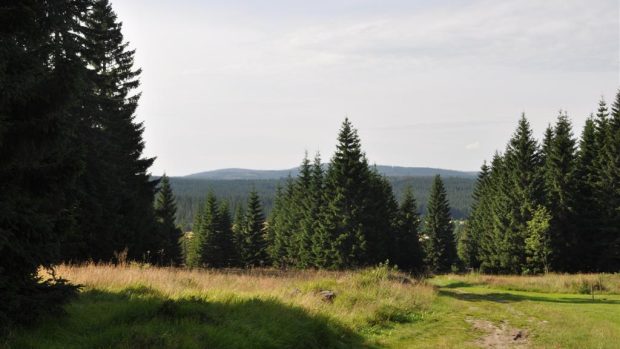 Šumava