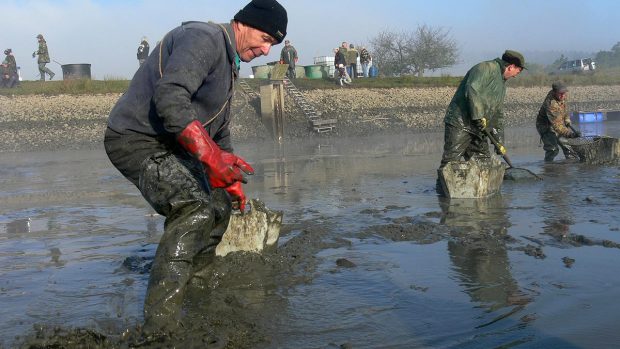 Prodejem ryb se prý investice vložená do vybudování rybníku nezaplatí