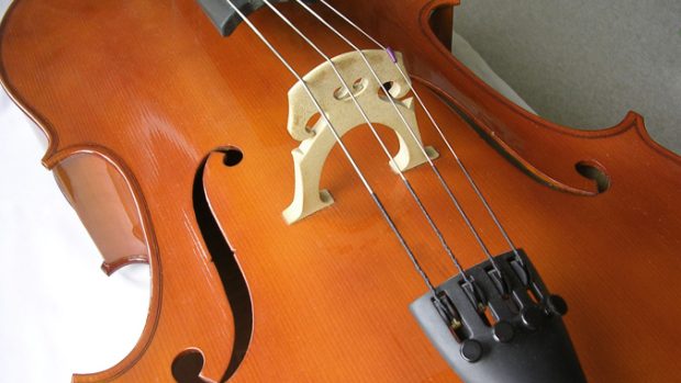 Violoncello