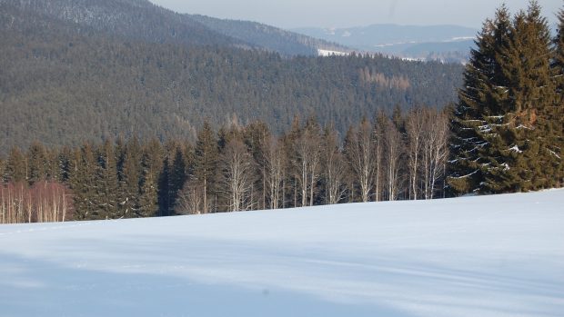 Šumava