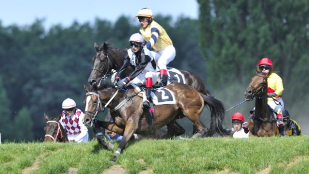 Kvalifikace na 123. Velkou pardubickou. Zleva kůň Tiumen s žokejem Josefem Váňou, kůň Lingarry s žokejem Josefem Sovkou, kůň Ronino s žokejem Jiřím Kouskem a kůň Tomis s žokejem Ondřejem Velkem