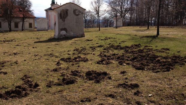 Barokní areál Skalky rozrytý  divočkáky