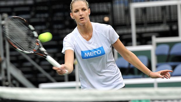 Fed Cup 2014, tenis, Karolína Plíšková