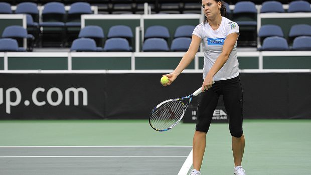 Fed Cup 2014, tenis, Lucie Šafářová