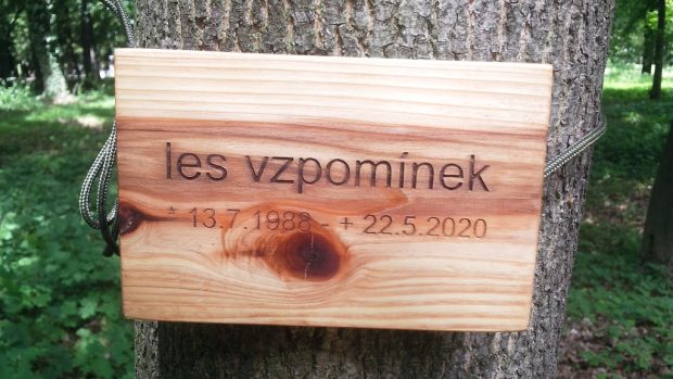 Cedulka na stromě v Lese vzpomínek