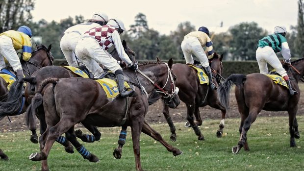 Velká pardubická 2016