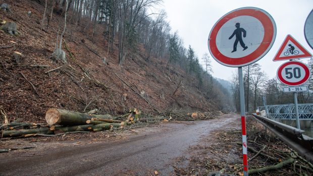 Práce na zabezpečení svahu v Brandýse nad Orlicí