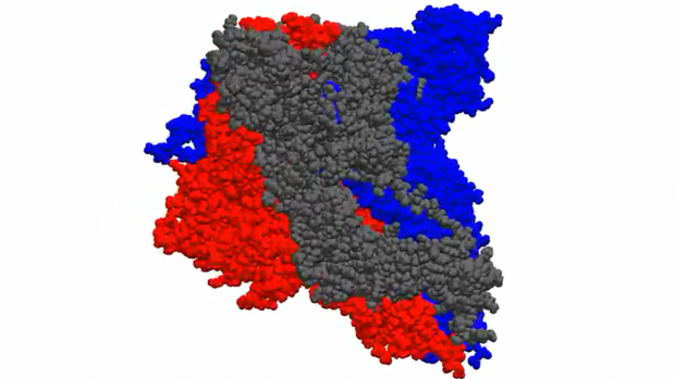 Folding@home analyzuje prostorovou strukturu bílkoviny, která umožňuje vstup do buňky