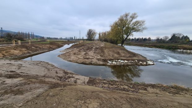 Větší část lokality na novém poloostrově je kvůli keřům určená pro úkryt zvěře a hnízdění ptáků