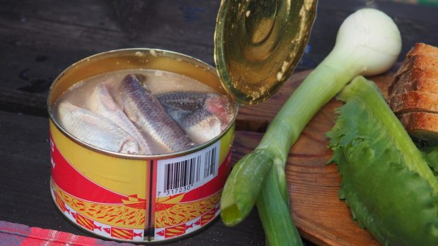 Oblíbená švédská pochoutka surströmming