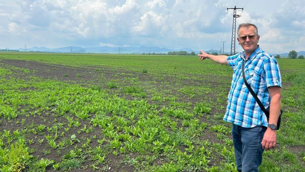 Agronom Jiří Vaněk ukazuje na poškozené makové pole