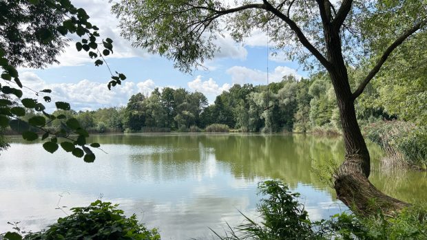 Písník Malá Černá zkusí rybáři vyčistit pomocí bakterií