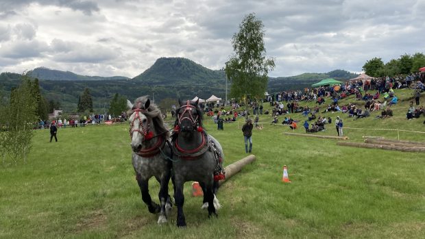 Za shození kolem rozestavěných kuželů hrozí časová penalizace