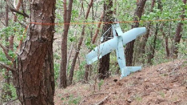 Snímek bezpilotního letadélka, které jihokorejská armáda identifikovala jako severokorejský dron. Stroj uvízl mezi stromy na území Jihu, nedaleko demilitarizovaného pásma mezi oběma Korejemi. Fotografii zveřejnilo jihokorejské ministerstvo obrany.