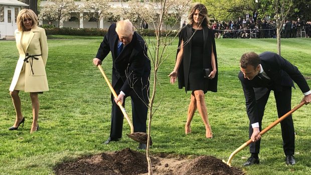 Prezidenti USA a Francie Donald Trump a Emmanuel Macron symbolicky zasadili v zahradách Bílého domu dub, přihlížely tomu jejich manželky.