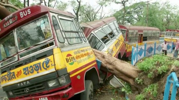 Autobus v Kalkatě poškozený spadlým stromem