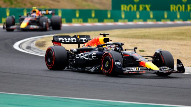 Max Verstappen ve vozu Red Bull